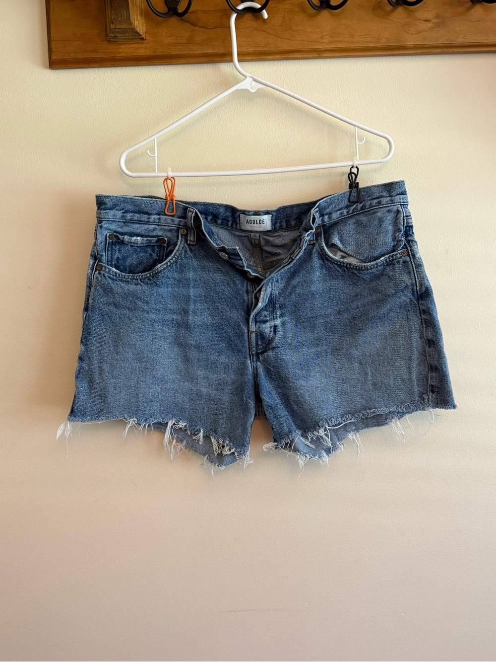 Agolde Parker Shorts